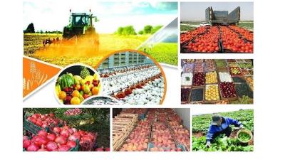 إیران تُسجل نمواً بنسبة 20.5٪ لصادرات المنتجات الغذائیة والزراعیة خلال العام الماضی