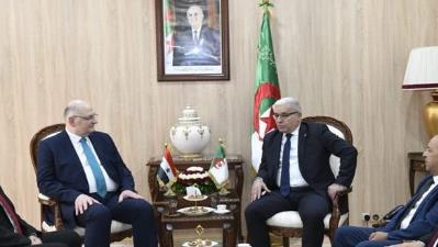 رئیس مجلس الجزایر بر توجه الجزایر به حاکمیت و تمامیت ارضی سوریه تاکید کرد